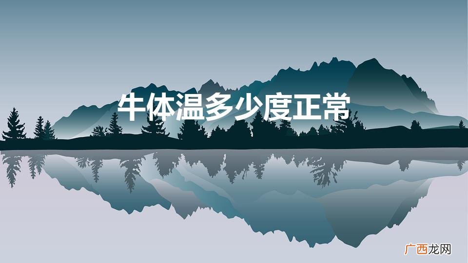 牛的正常体温是多少 牛体温多少度正常