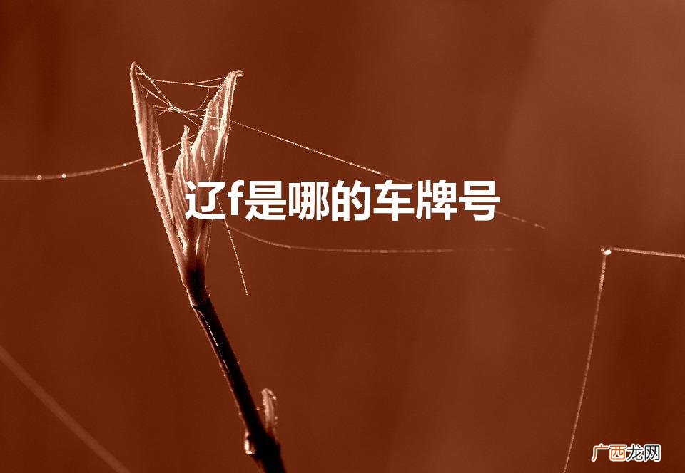 辽f是哪的车牌号