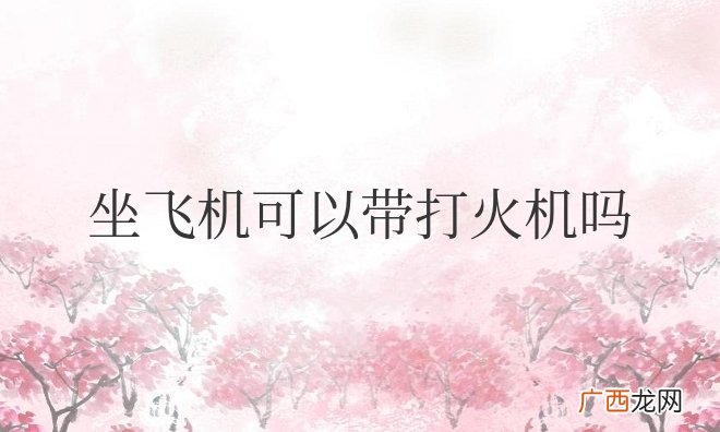 国内坐飞机可以带打火机吗现在