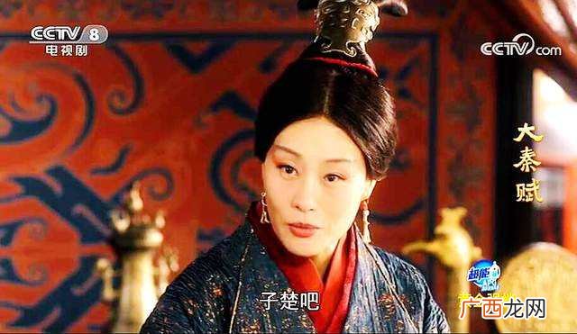 芈月和中华阳夫人是同一个人吗 华阳太后和芈月是什么关系
