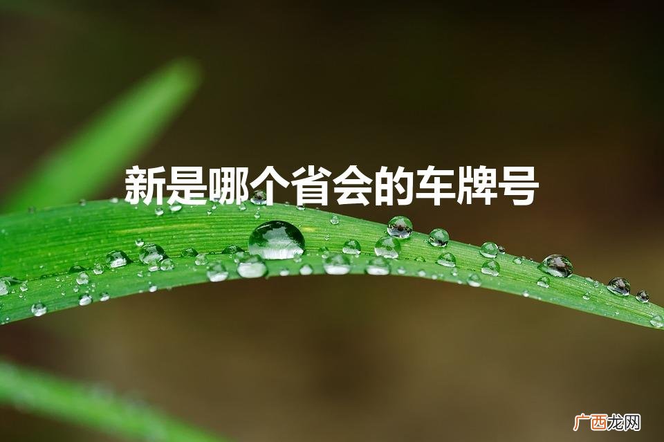 新的省会车牌号 新是哪个省会的车牌号