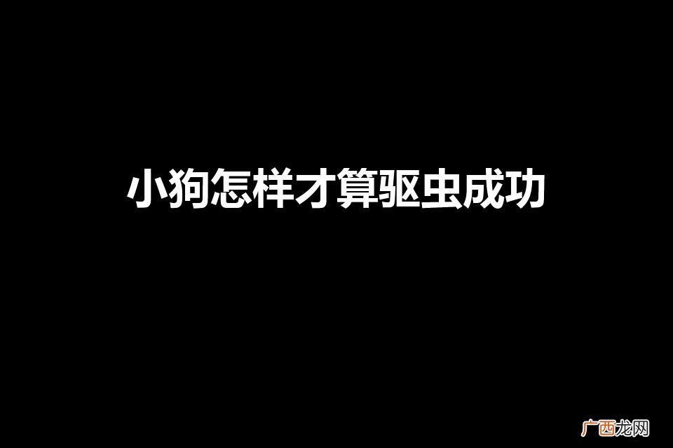 小狗驱虫的成功标准 小狗怎样才算驱虫成功