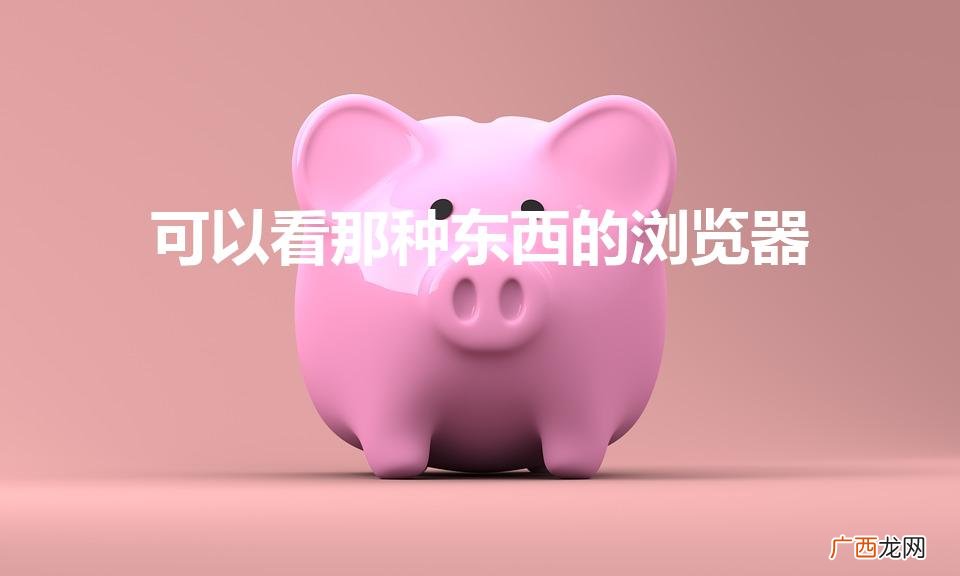 能打开各种网站的浏览器 可以看那种东西的浏览器