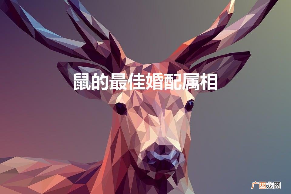 生肖鼠的最佳婚配属相 鼠的最佳婚配属相