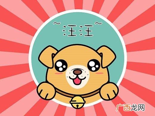 旺财是什么意思网络用语