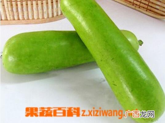 胡瓜的保健价值与作用 胡瓜的功效和作用