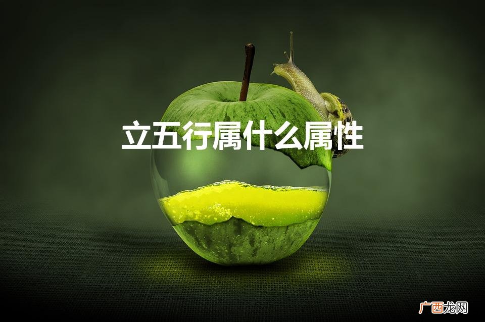 中五行属什么属性 立五行属什么属性