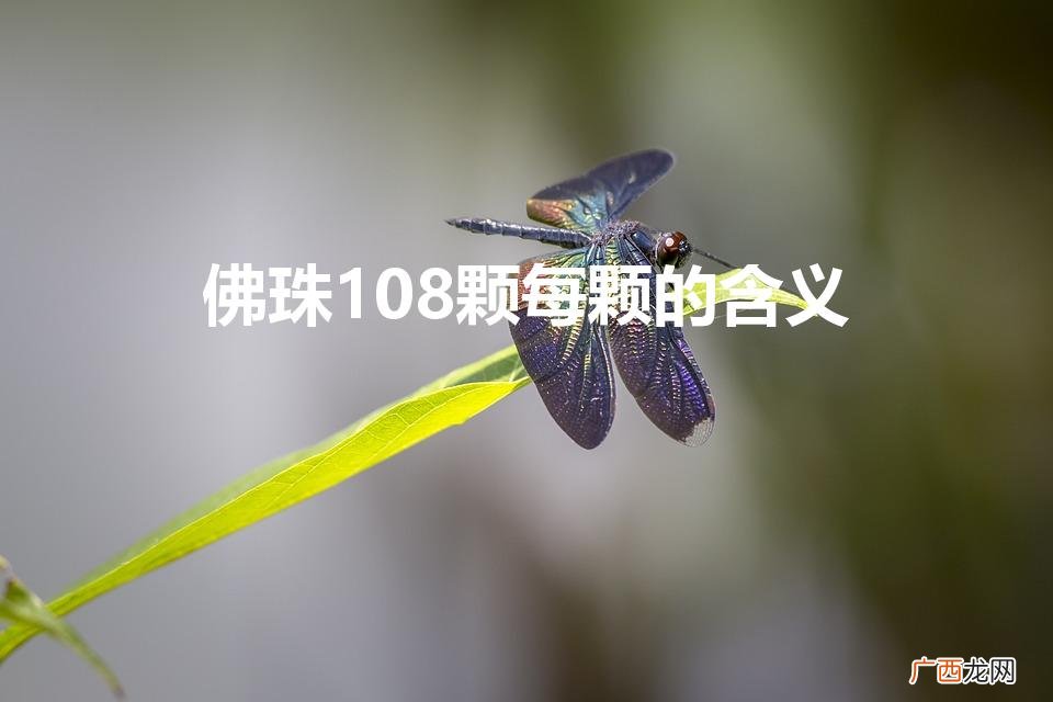 108颗手串有什么寓意 佛珠108颗每颗的含义