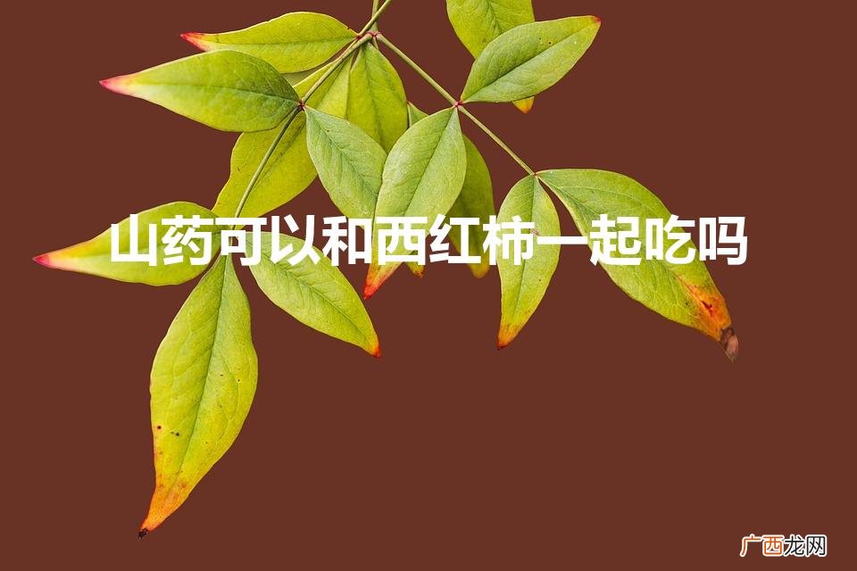 山药与西红柿搭配合适吗？ 山药可以和西红柿一起吃吗