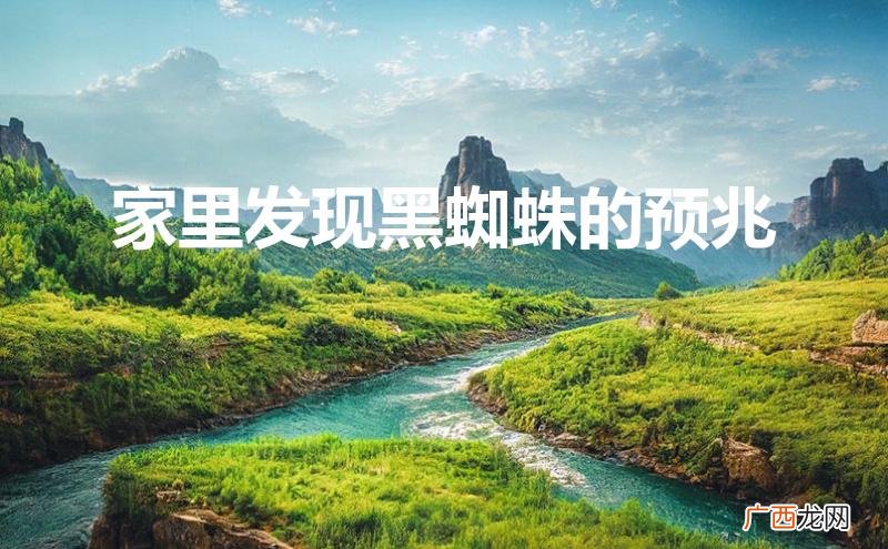 家里爬出一只黑蜘蛛预示什么 家里发现黑蜘蛛的预兆