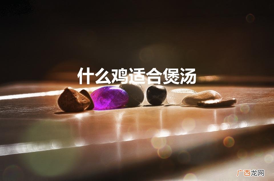 适合煲汤的有哪几种鸡 什么鸡适合煲汤