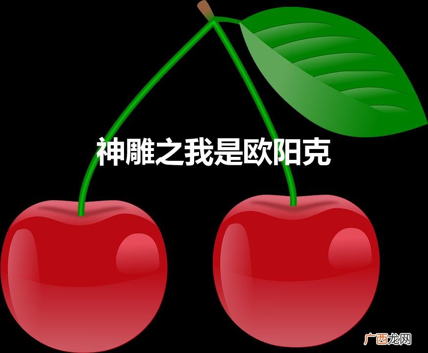 欧阳克：神雕之翼 神雕之我是欧阳克