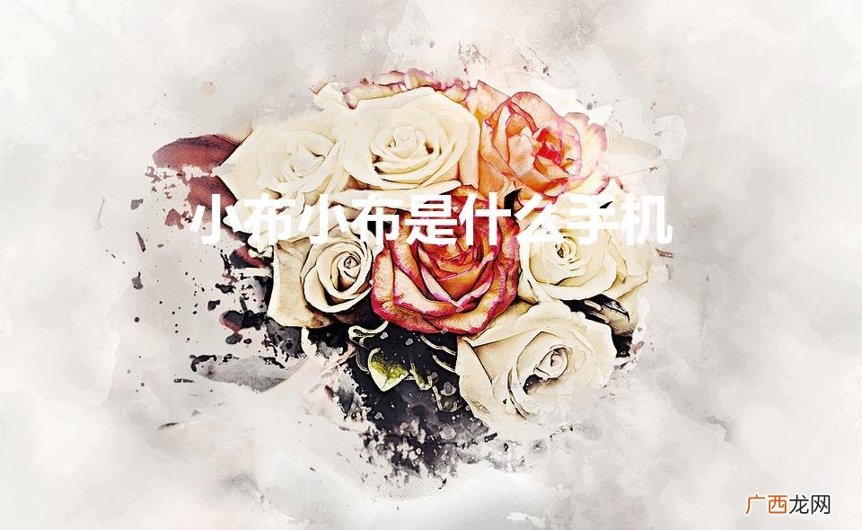 小布是什么手机的语音助手 小布小布是什么手机