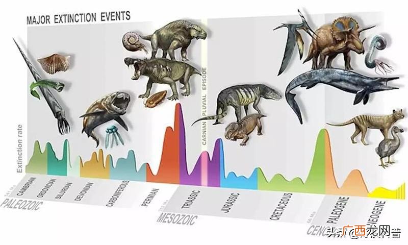 五次生物大灭绝分别是什么 五次生物大灭绝