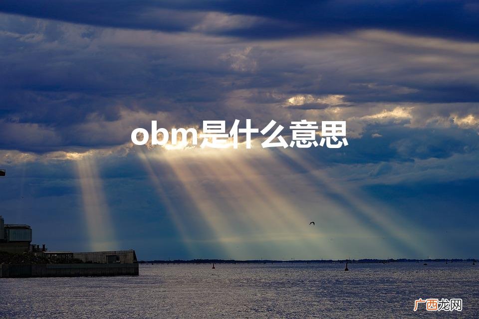 乐高上的obm是什么意思 obm是什么意思