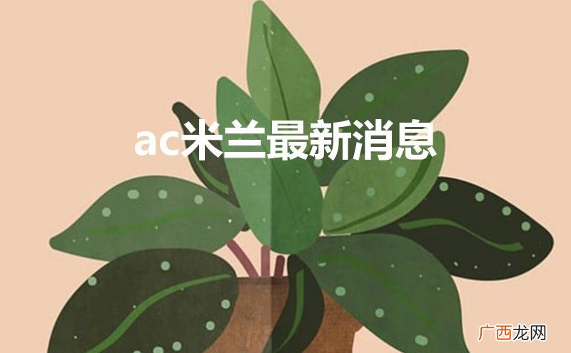 ac米兰最新消息球员转会 ac米兰最新消息