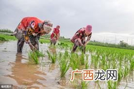 什么时节农作物生长最快