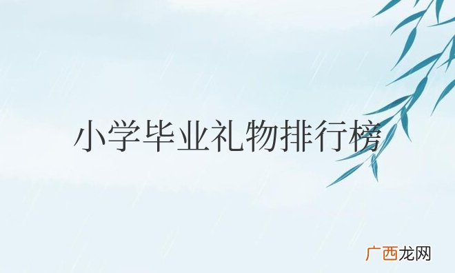 小学毕业礼物排行榜前十名