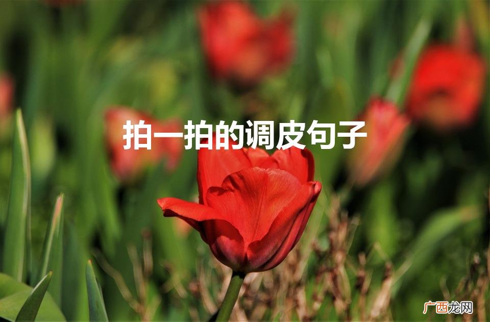 微信拍一拍可爱俏皮的文案 拍一拍的调皮句子