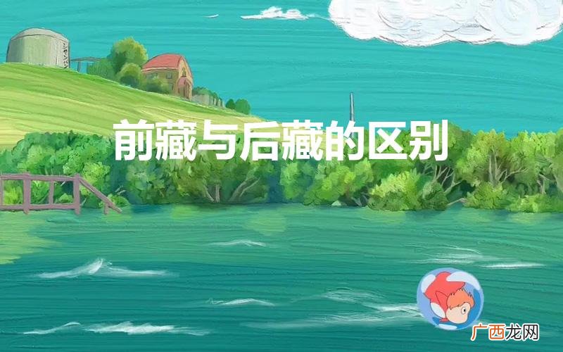 在文化上有哪些差异 前藏与后藏的区别