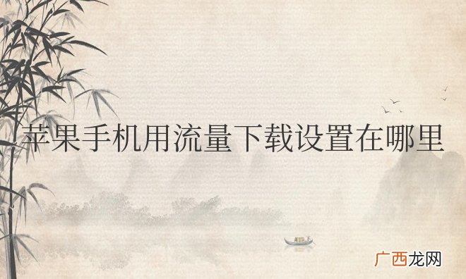 苹果手机使用流量下载如何设置方法