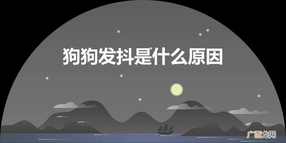 狗狗打颤抖是什么原因 狗狗发抖是什么原因