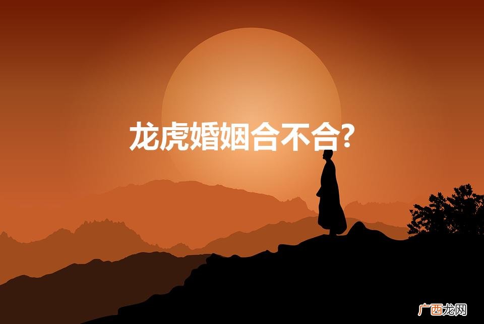 龙和虎能婚配吗,龙和虎婚姻怎么样 龙虎婚姻合不合?