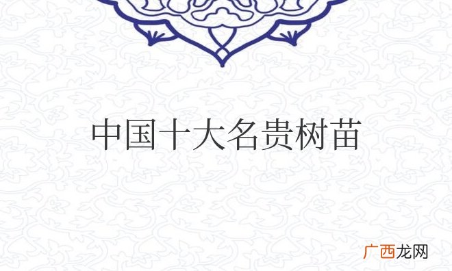 中国十大名贵树苗有哪些