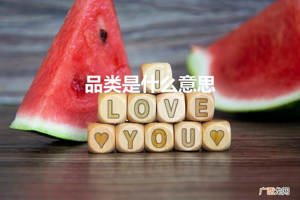 品类词是什么意思 品类是什么意思