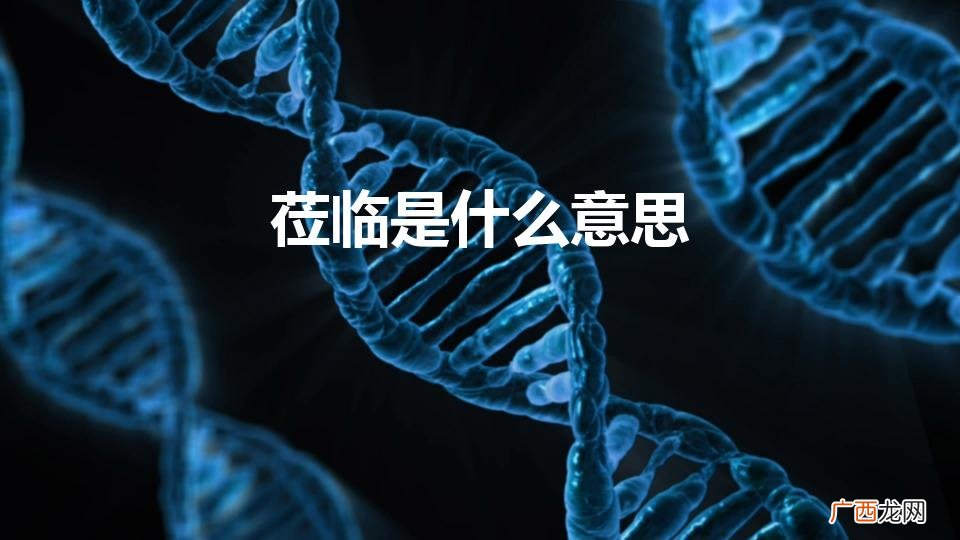 莅临是什么意思（莅临的意思解释)