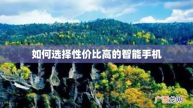 如何选择性价比高的智能手机