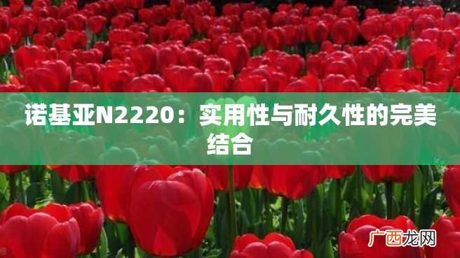 诺基亚N2220:实用性与耐久性的完美结合