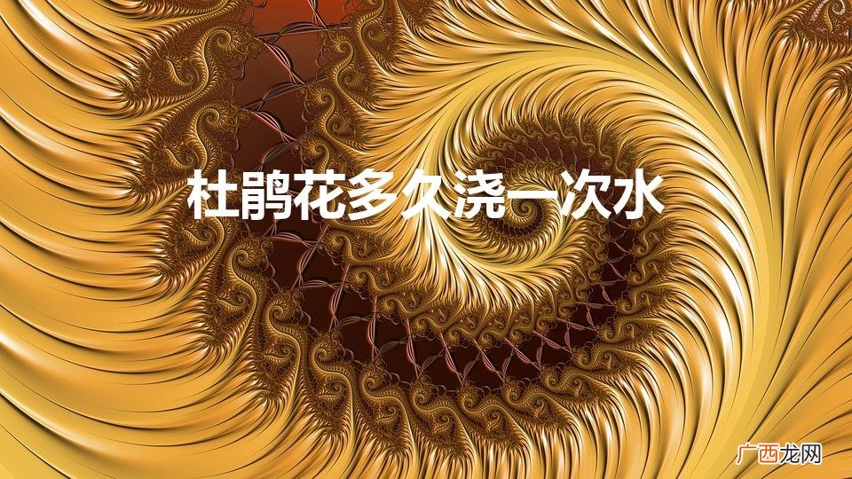 杜鹃花几天浇一次水比较好 杜鹃花多久浇一次水
