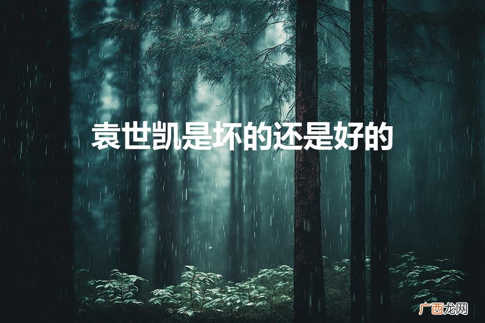 袁世凯是好人还是坏人 袁世凯是坏的还是好的