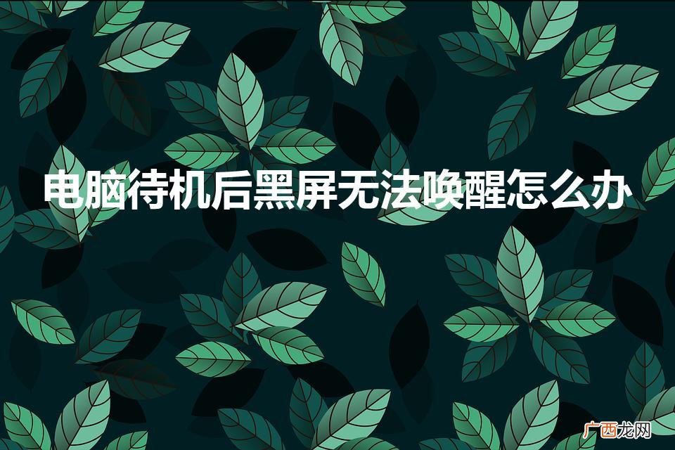 笔记本电脑待机后黑屏无法唤醒怎么办 电脑待机后黑屏无法唤醒怎么办