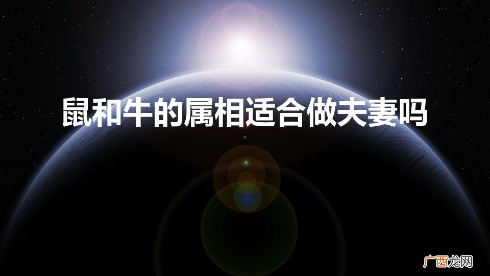 鼠和牛的属相合不合 鼠和牛的属相适合做夫妻吗