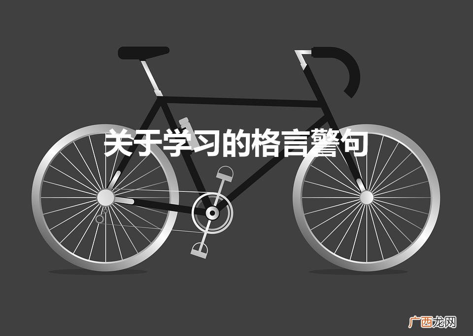 有关学习的格言 关于学习的格言警句