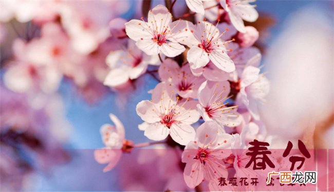 春分习俗有哪些 春分的风俗是什么