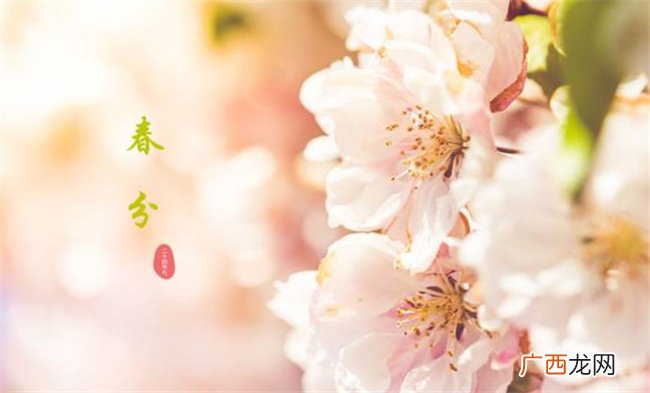 春分习俗有哪些 春分的风俗是什么