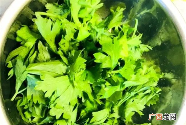 芹菜叶蒸一蒸 瞬间变美食营养美味又吃 学会以后别再扔了