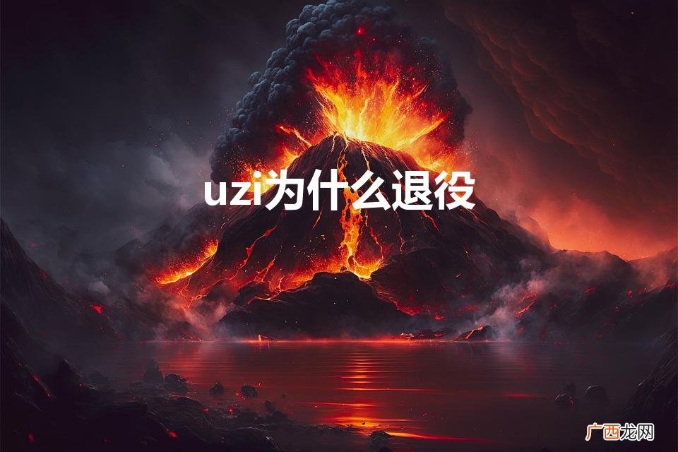 从巅峰到告别,Uzi退役的真相揭秘 uzi为什么退役