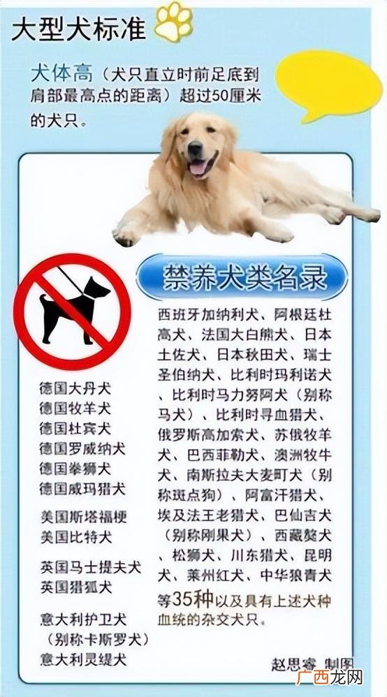 禁止饲养的烈性犬造成他人损害 烈性犬禁养名单介绍