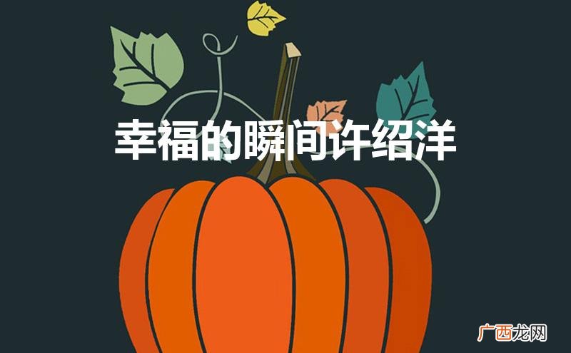 幸福的瞬间许绍洋歌词 幸福的瞬间许绍洋