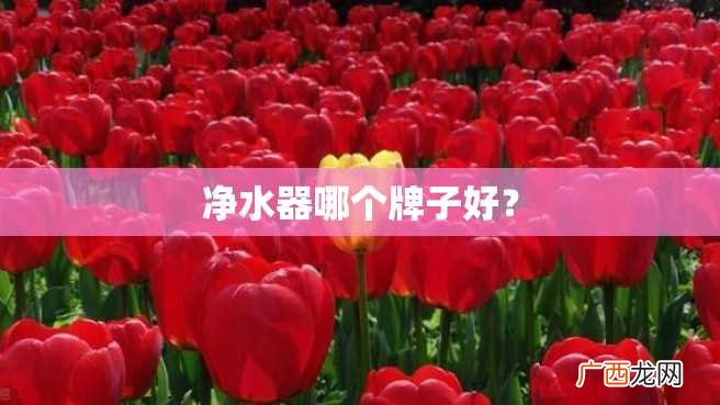 净水器哪个牌子好?