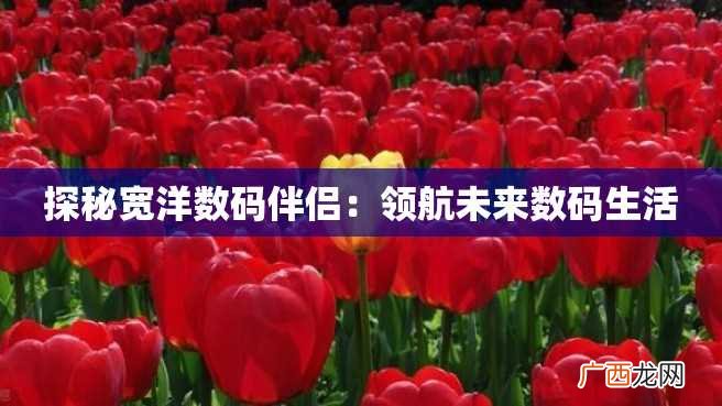探秘宽洋数码伴侣：领航未来数码生活