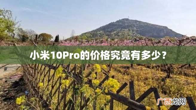 小米10Pro的价格究竟有多少？