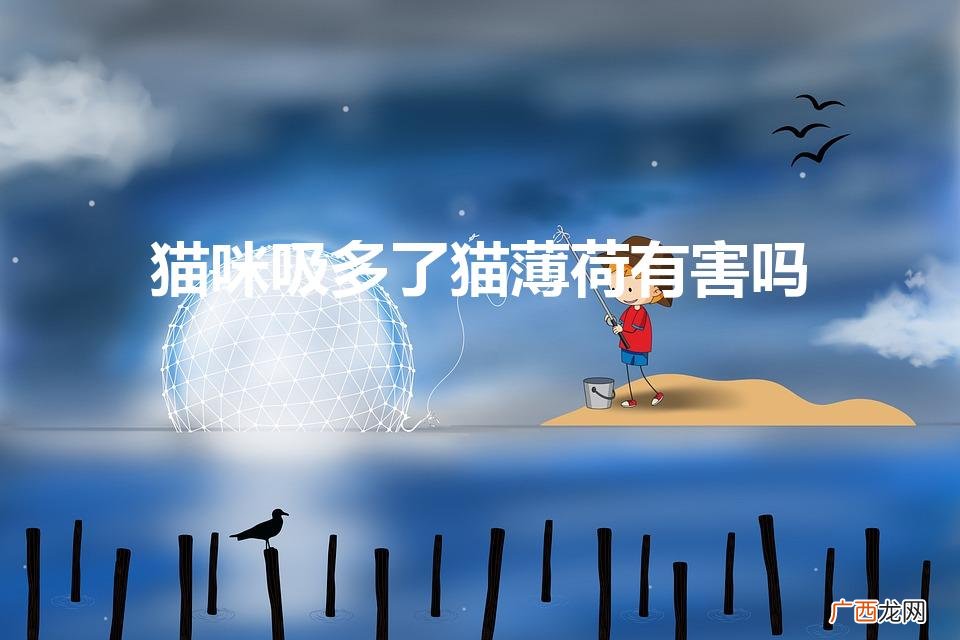 猫吸了猫薄荷会怎么样 猫咪吸多了猫薄荷有害吗