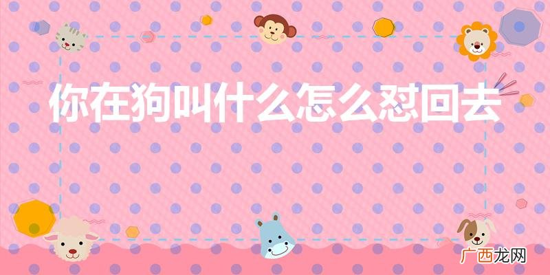 怎么回骂别人是狗 你在狗叫什么怎么怼回去