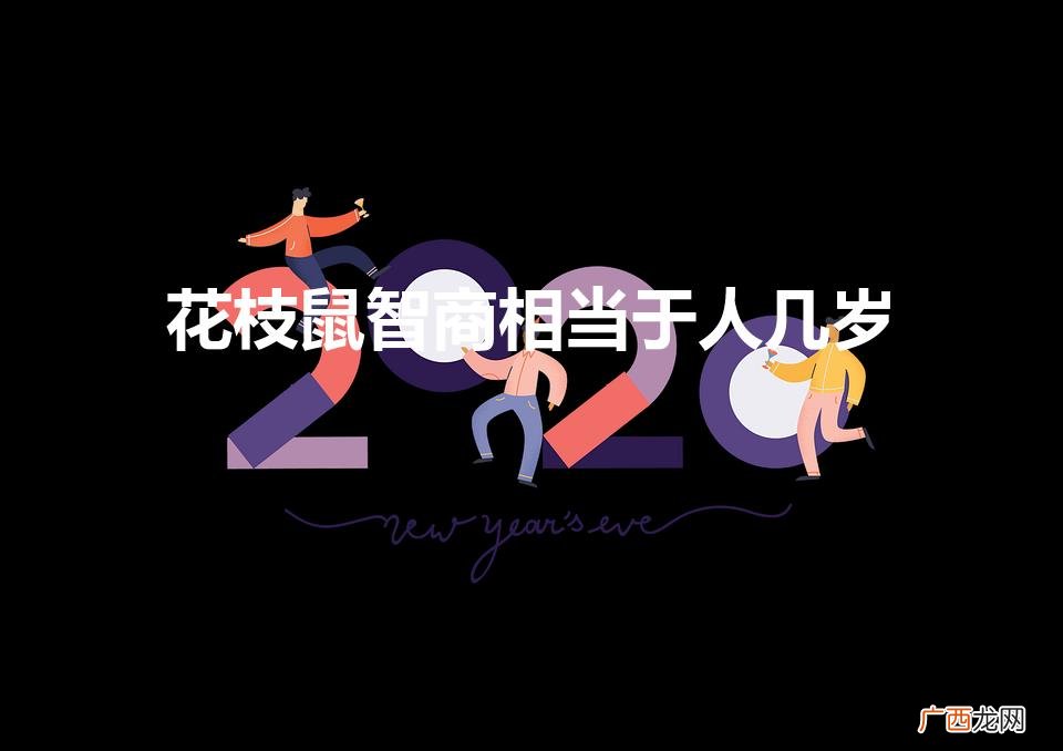 哈士奇花枝鼠最高智商是多少 花枝鼠智商相当于人几岁