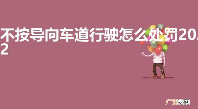不按导向车道行驶怎么处罚2022